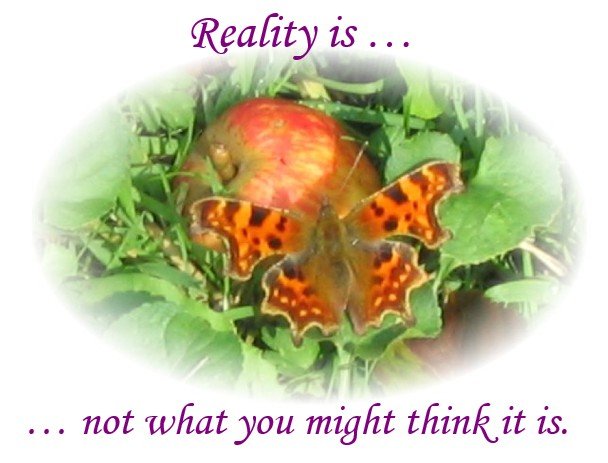 reality-is